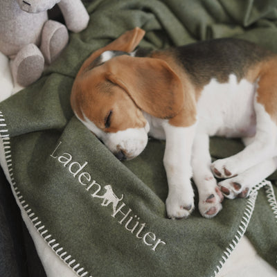 Hundedecke Hunter’s Green