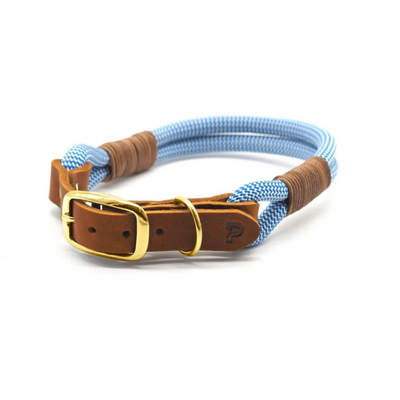PAWSOME Hundehalsband Pazifik – SALE