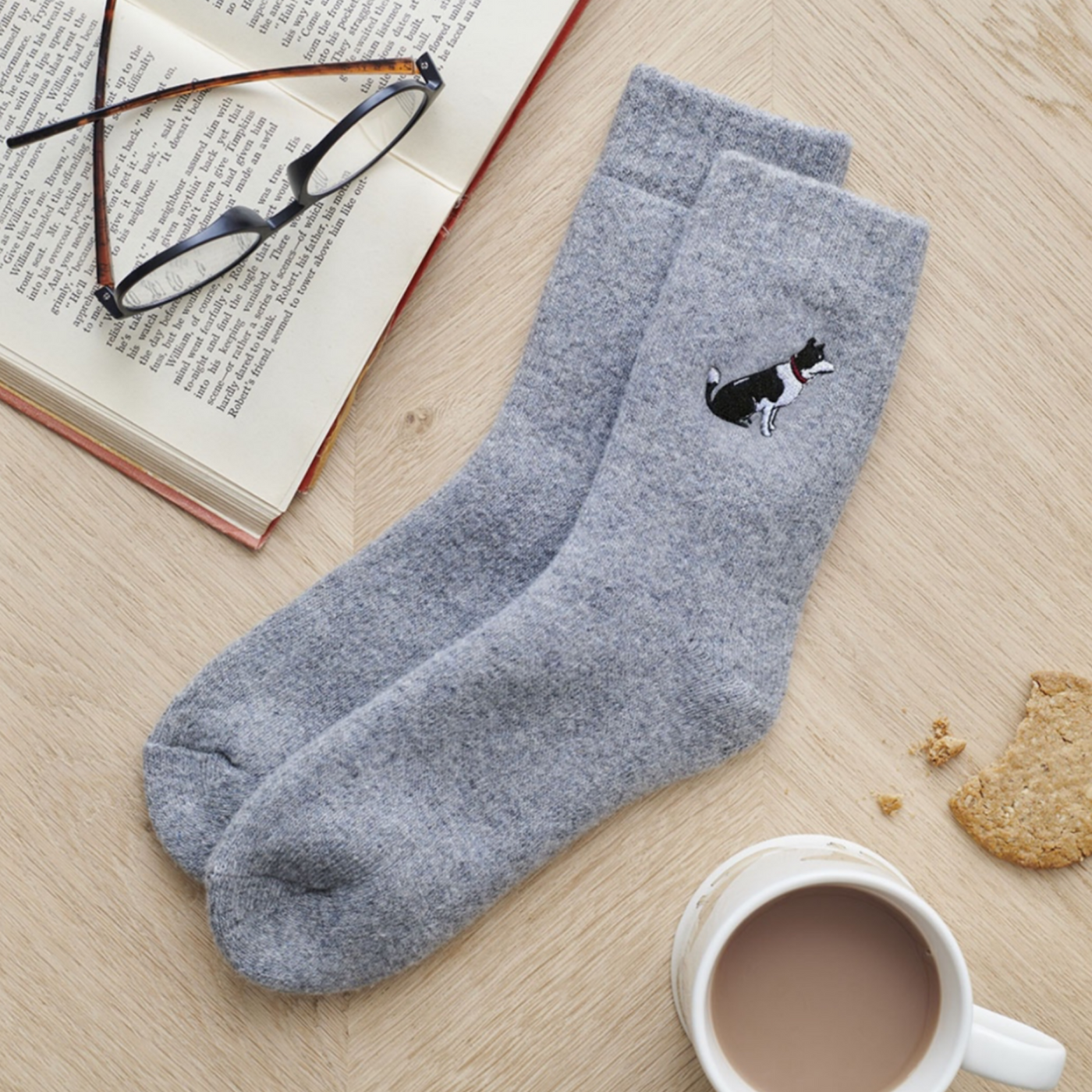 Sweet William Wollsocken - Border Collie