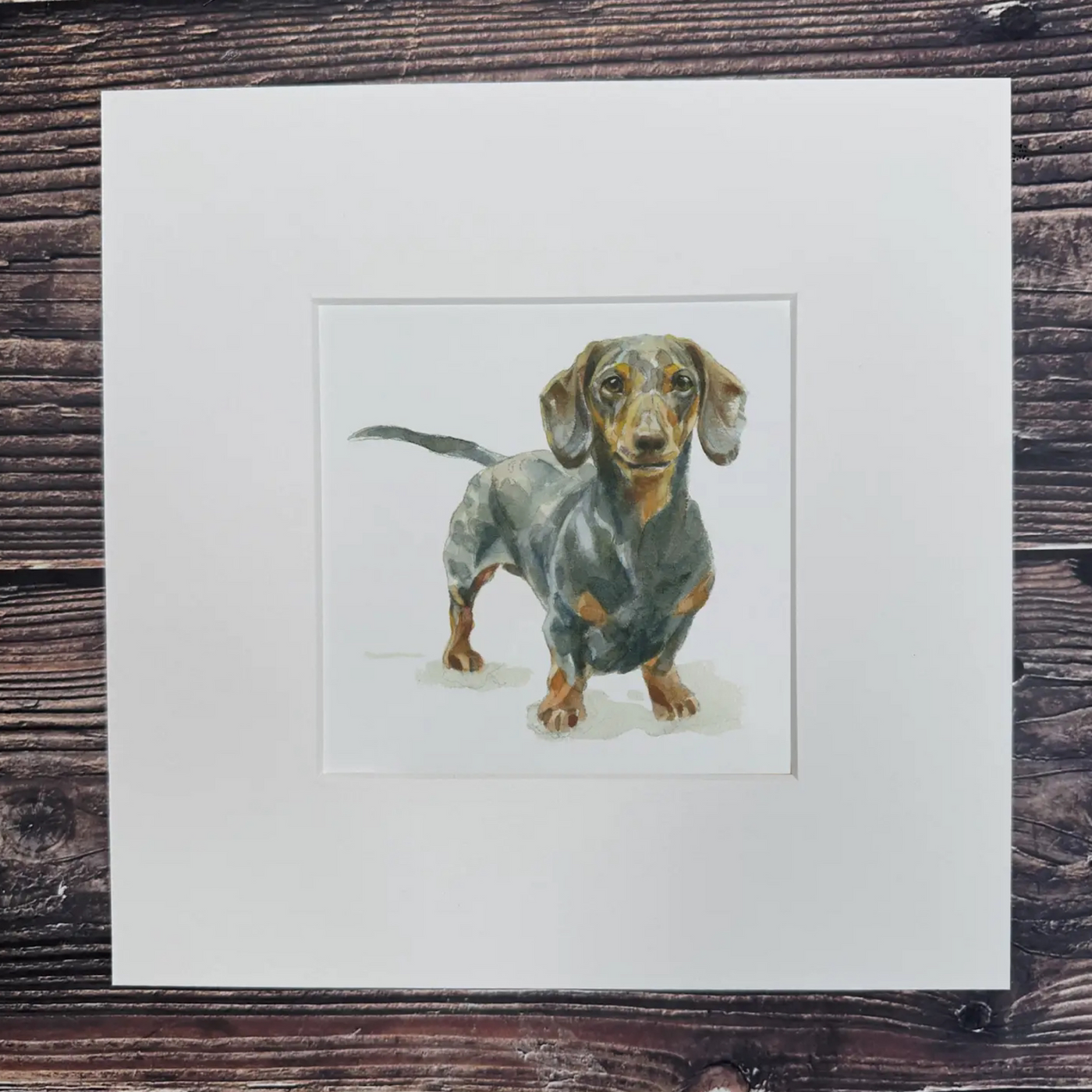 Susel & Co Dackel - Quadratischer Kunstdruck