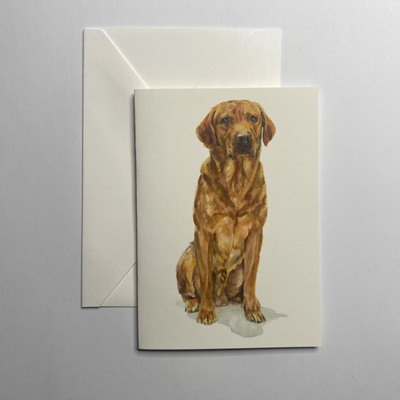 Susel & Co Fox Red Labrador - Grußkarte