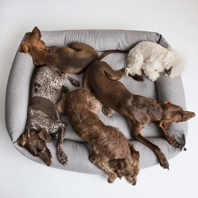Cloud7 Hundebett Sleepy Deluxe Tweed Grey – SALE
