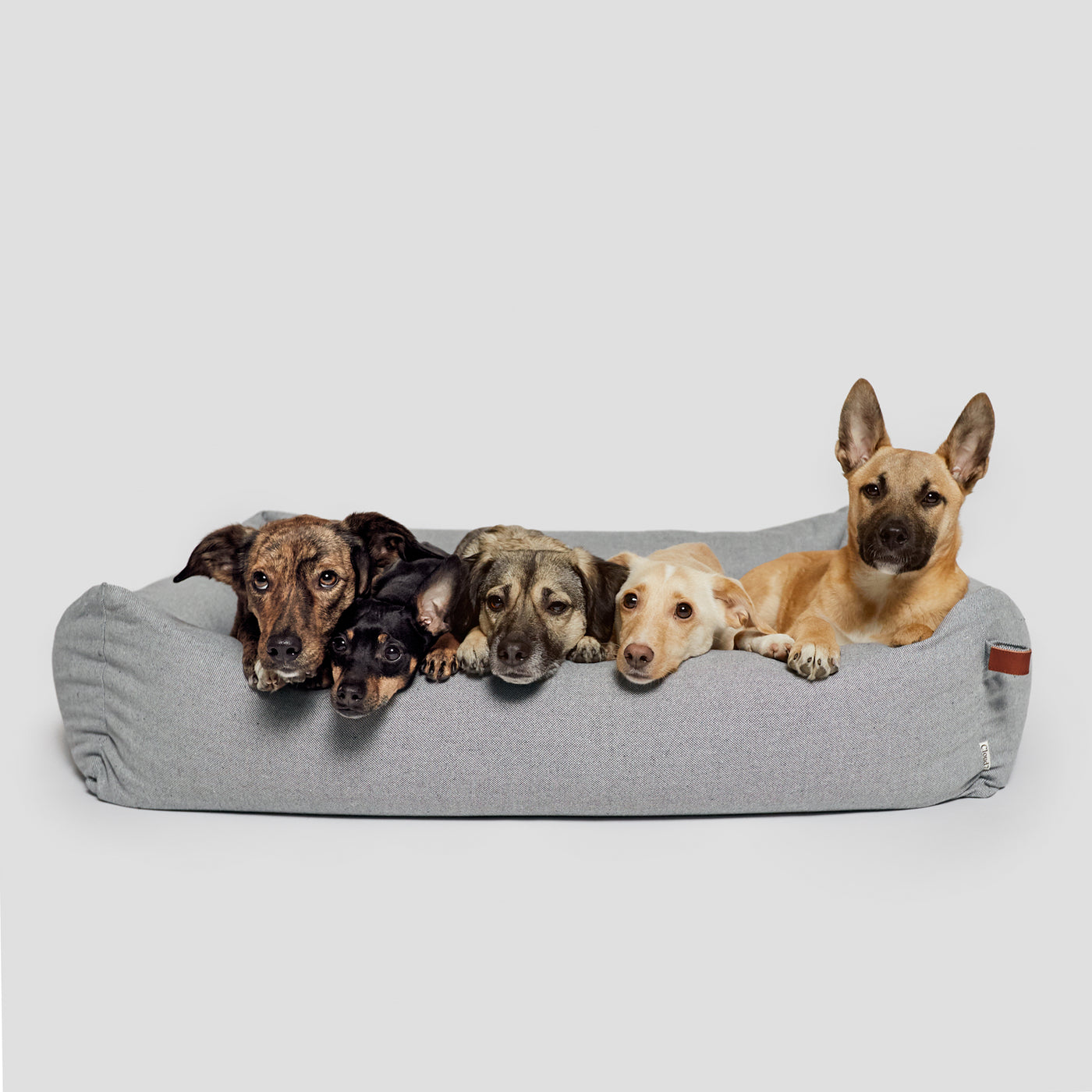 Cloud7 Hundebett Sleepy Deluxe Tweed Grey – SALE