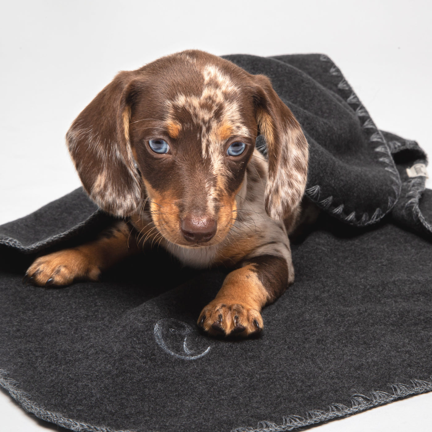 Hundedecke Soft Fleece Sand