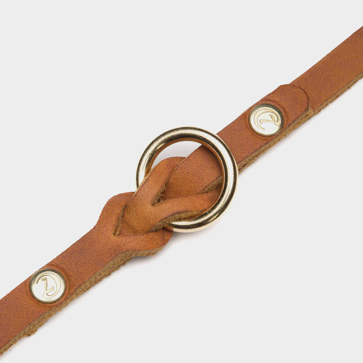 Dog leash Riverside Park Camel Gold
