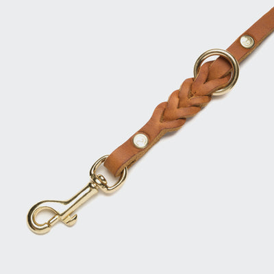 Dog leash Riverside Park Camel Gold