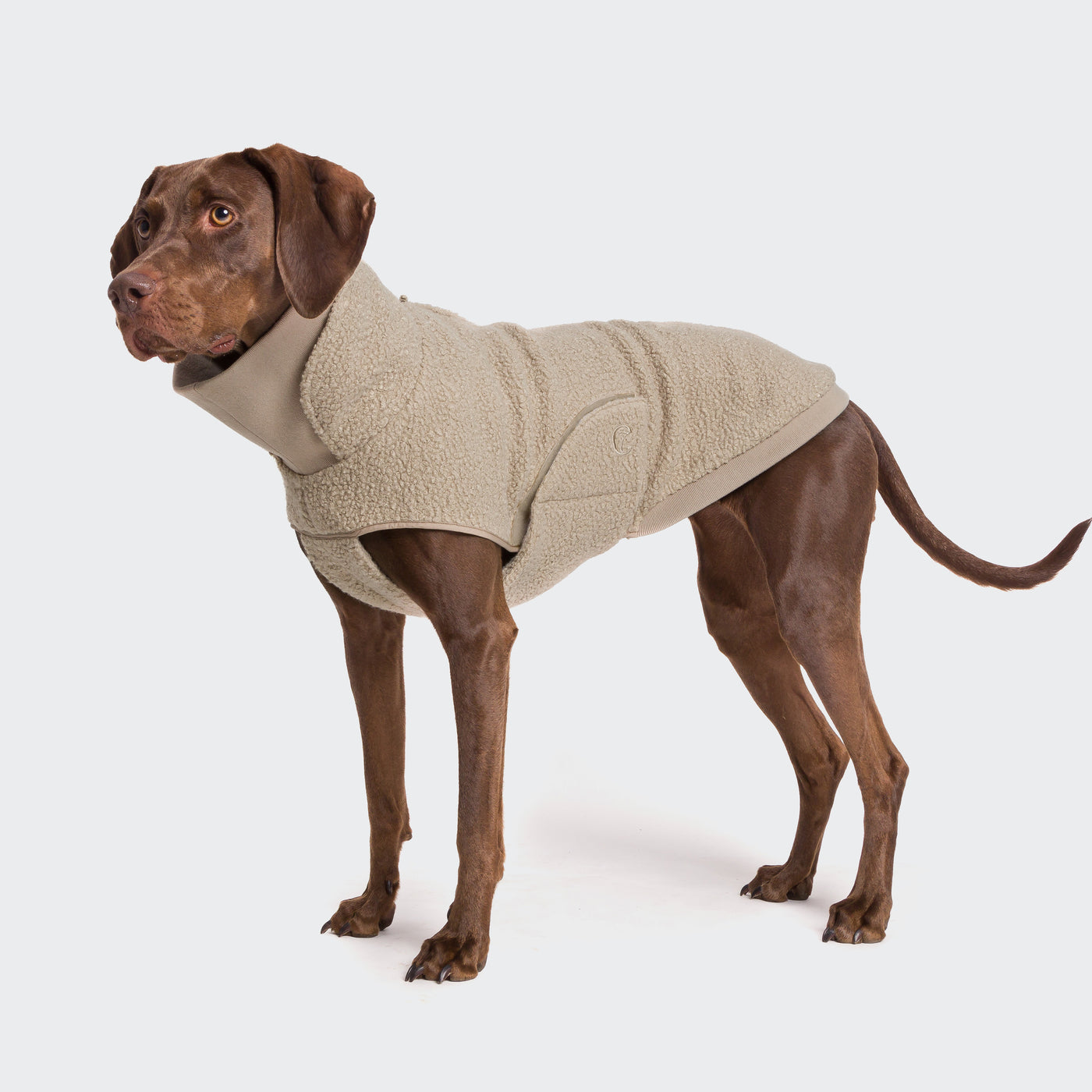 Hundepullover Gotland Beige