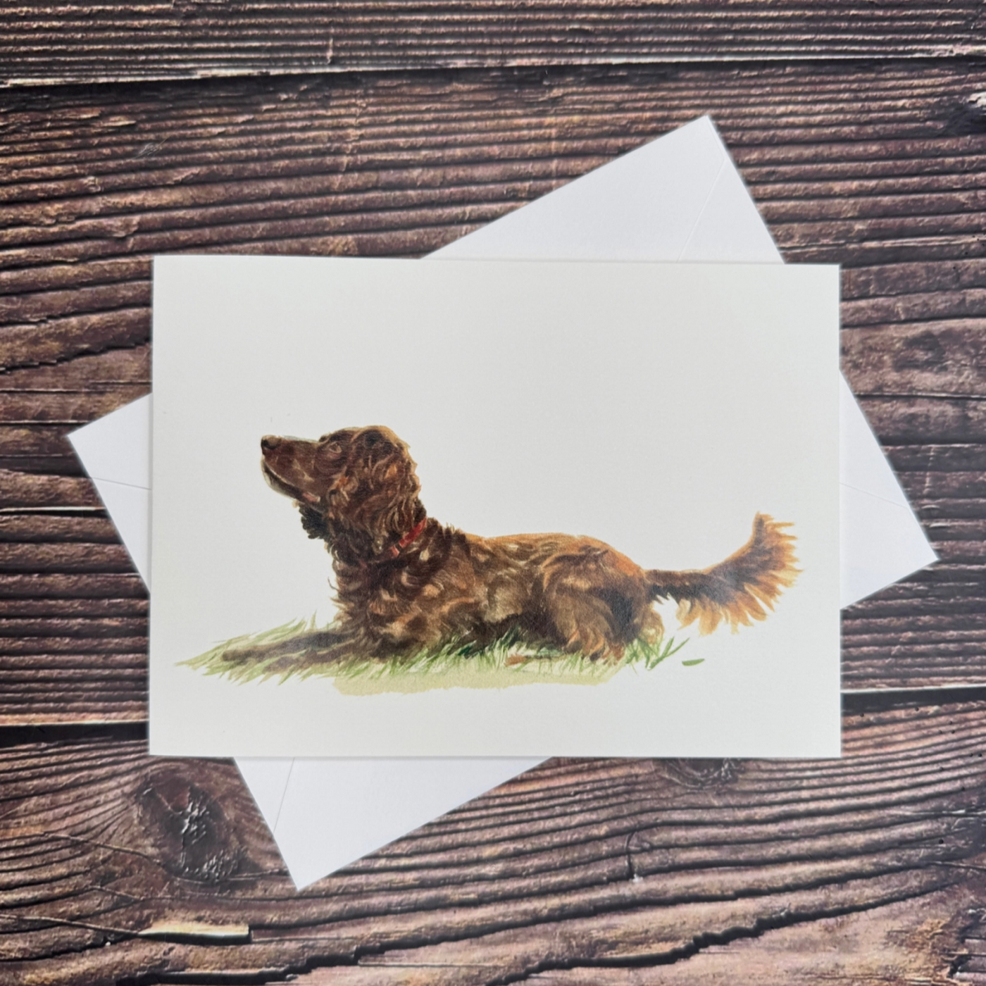 Susel & Co Chocolate Cocker Spaniel - Grußkarte