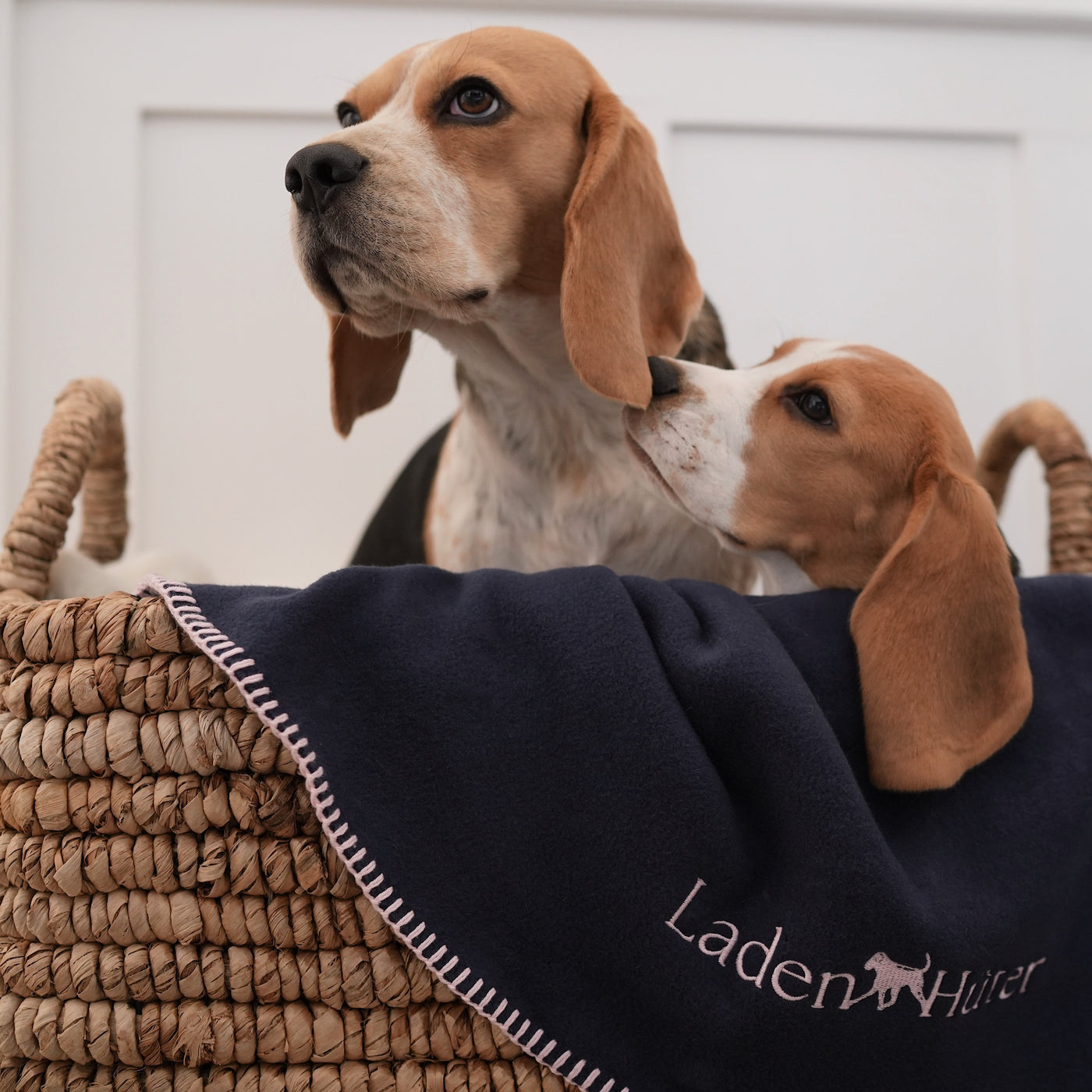 Hundedecke Oxford Blue - GOTS Bio-Baumwolle
