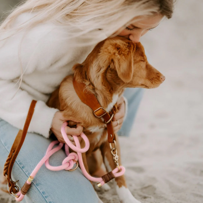 PAWSOME Hundeleine Rosa – SALE