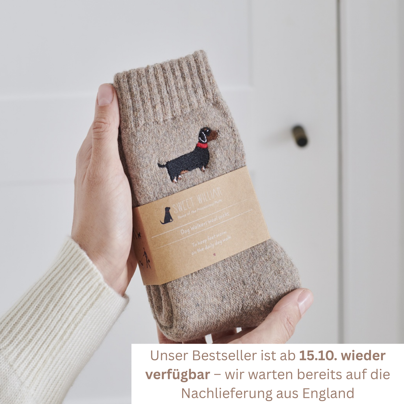 Sweet William Wollsocken - Dackel