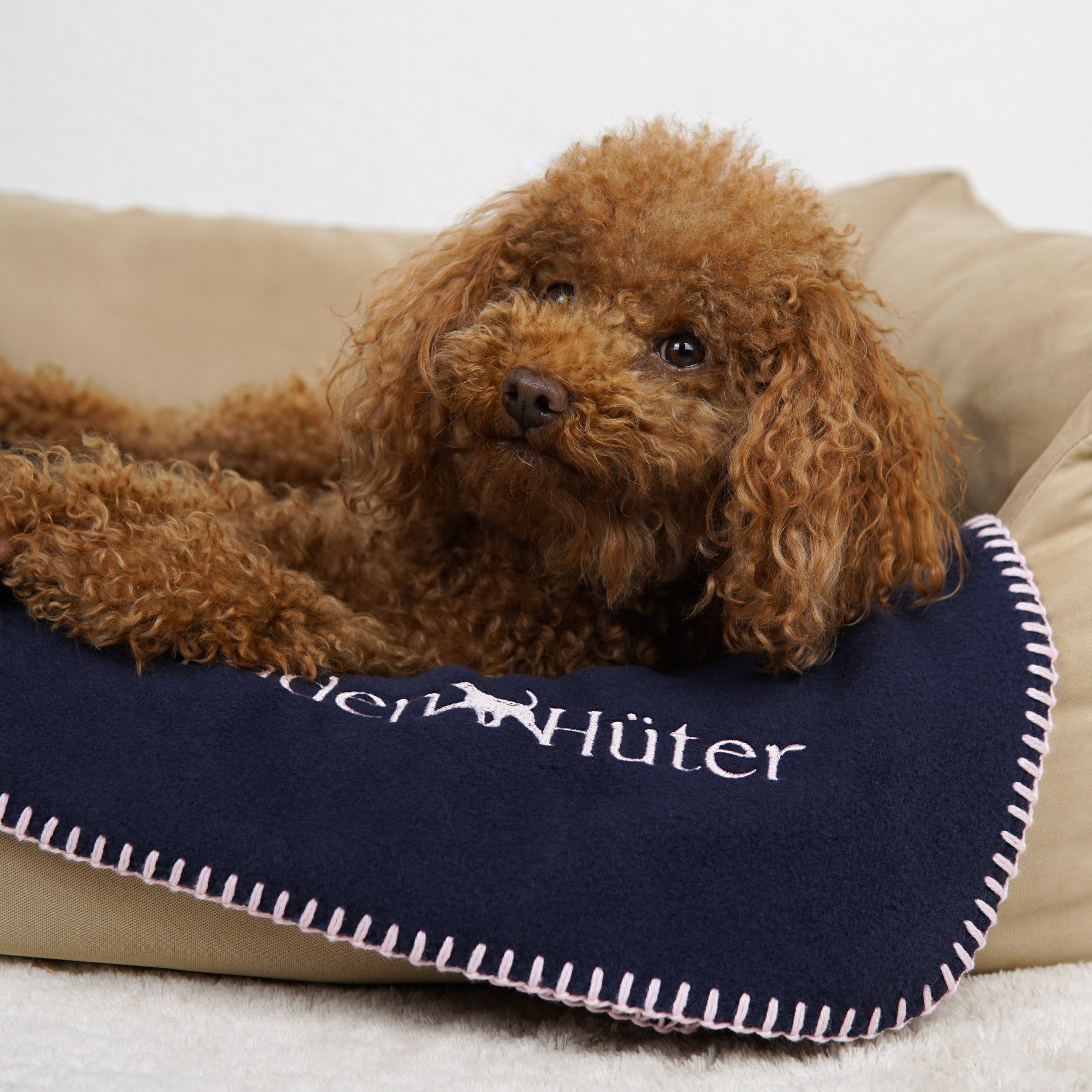 Hundedecke Oxford Blue - GOTS Bio-Baumwolle