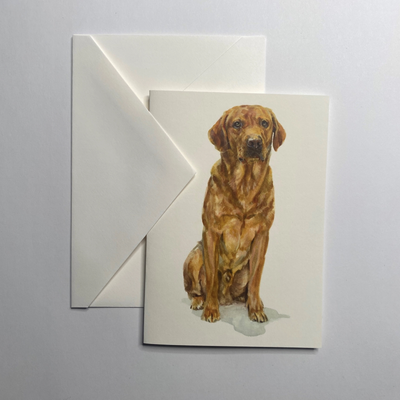 Susel & Co Fox Red Labrador - Grußkarte