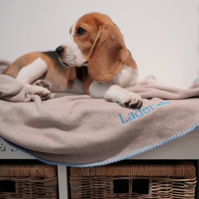 Hundedecke Sandstone Beige - GOTS Bio-Baumwolle