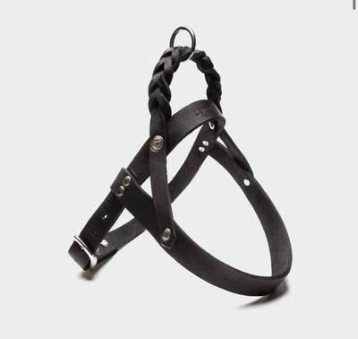 Cloud7 Hundegeschirr Central Park Black Silver – SALE