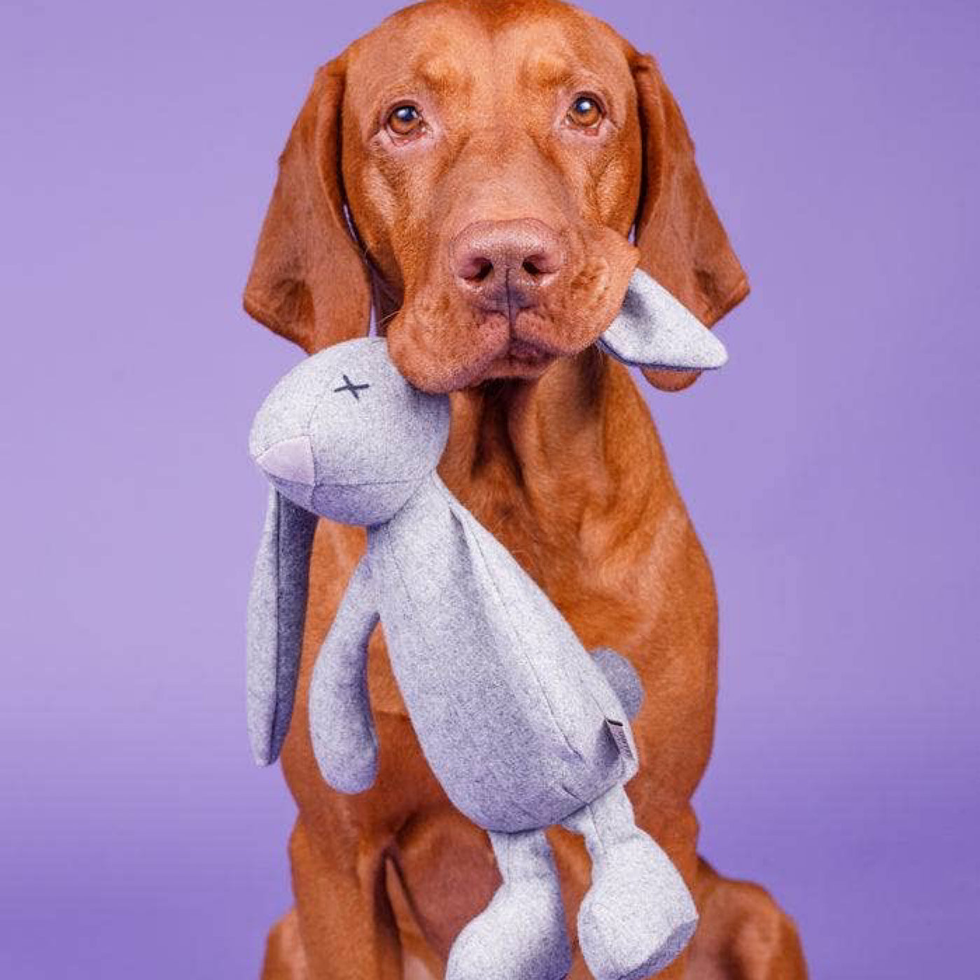 LILLABEL Hundespielzeug RUPERT der Hase