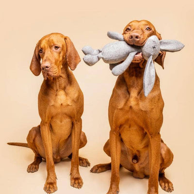LILLABEL Hundespielzeug RUPERT der Hase