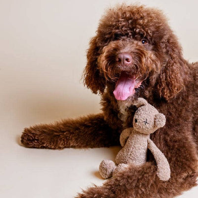 LILLABEL Hundespielzeug BERTI der Bär