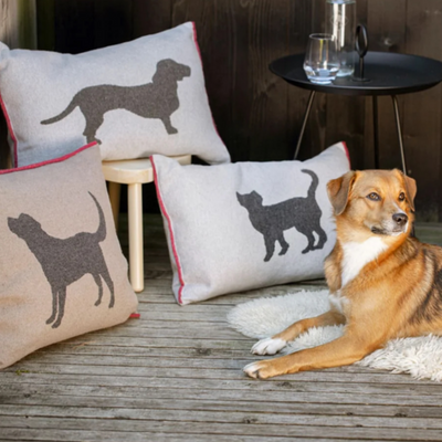 DF Kissen Black Labrador – SALE