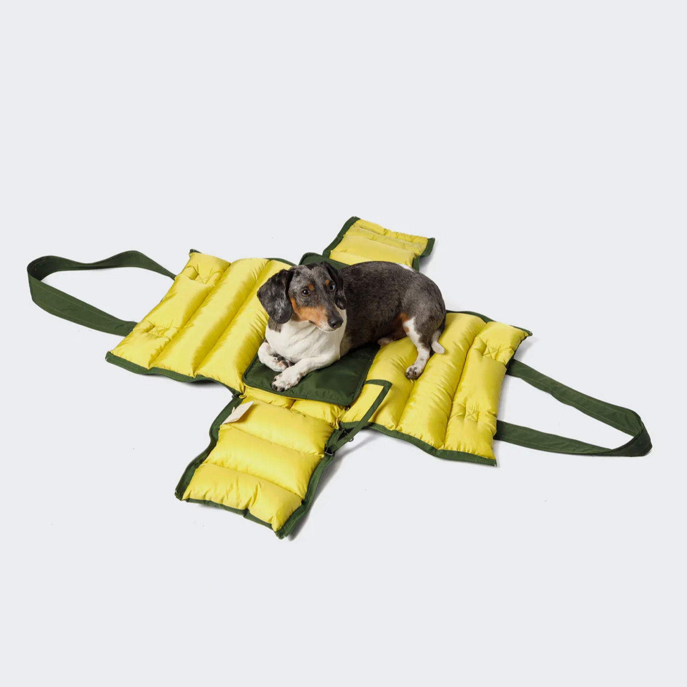 Cloud7 Hundetasche Montreal 2-in-1 Olive – SALE