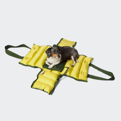Cloud7 Hundetasche Montreal 2-in-1 Olive – SALE