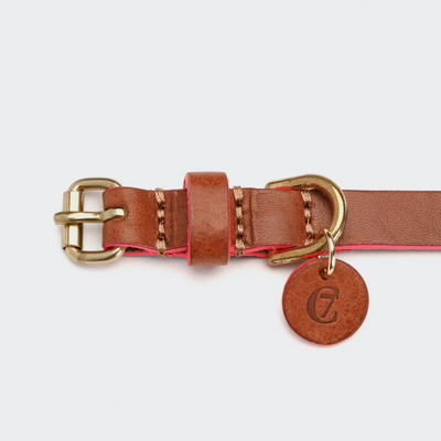 Cloud7 Hundehalsband Prince Park Cognac/Pink – SALE