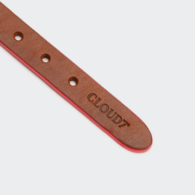 Cloud7 Hundehalsband Prince Park Cognac/Pink – SALE