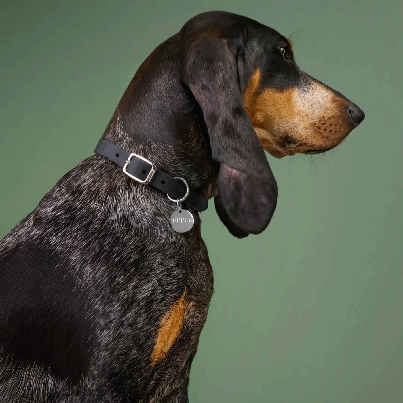 Cloud7 Hundehalsband Riverside Park Black Silver – SALE