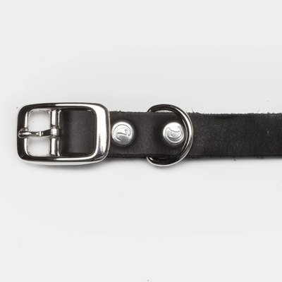 Cloud7 Hundehalsband Riverside Park Black Silver – SALE