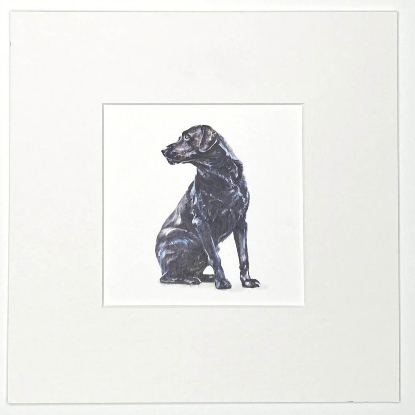 Susel & Co Black Labrador - Quadratischer Kunstdruck