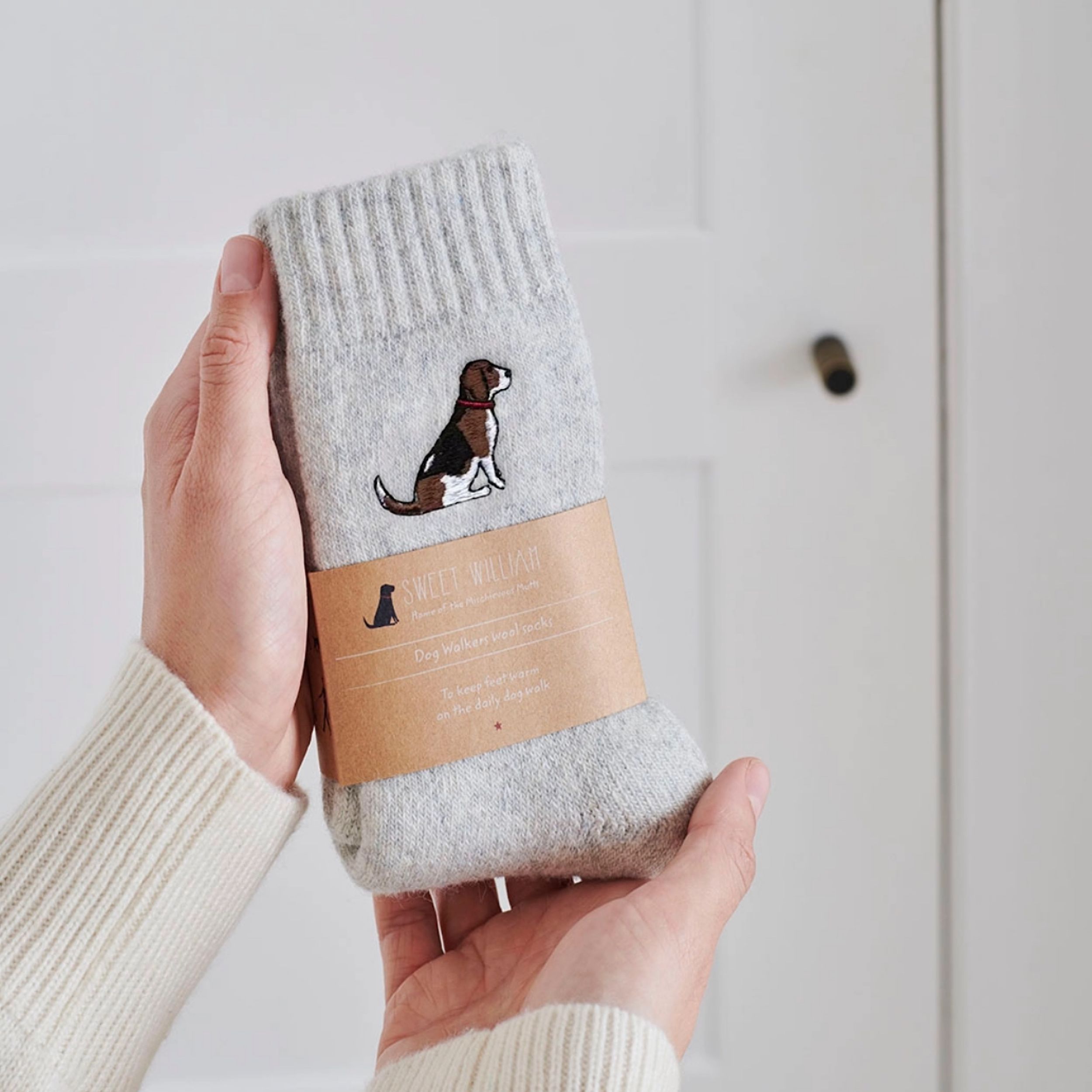 Sweet William Wollsocken - Beagle