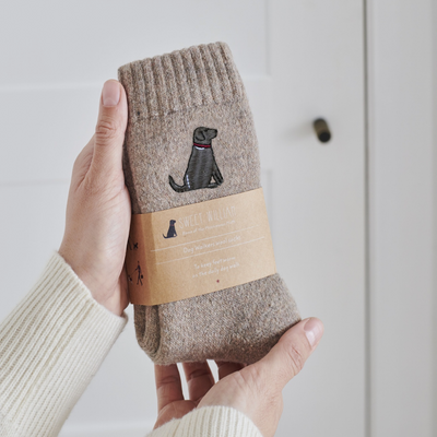 Sweet William Wollsocken - Chocolate Labrador