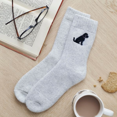 Sweet William Wollsocken - Cockapoo/Labradoodle Schwarz
