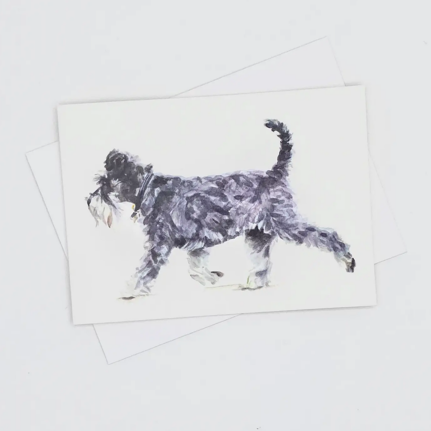 Greeting card - Schnauzer