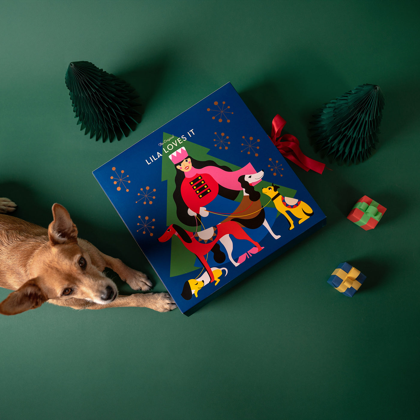 LILA LOVES IT Hunde-Adventskalender - Limitierte Sonderedition