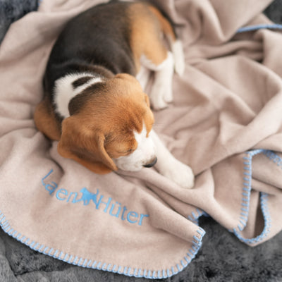 Hundedecke Sandstone Beige - GOTS Bio-Baumwolle