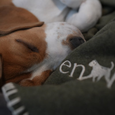 Hundedecke Hunter’s Green