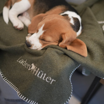 Hundedecke Hunter’s Green