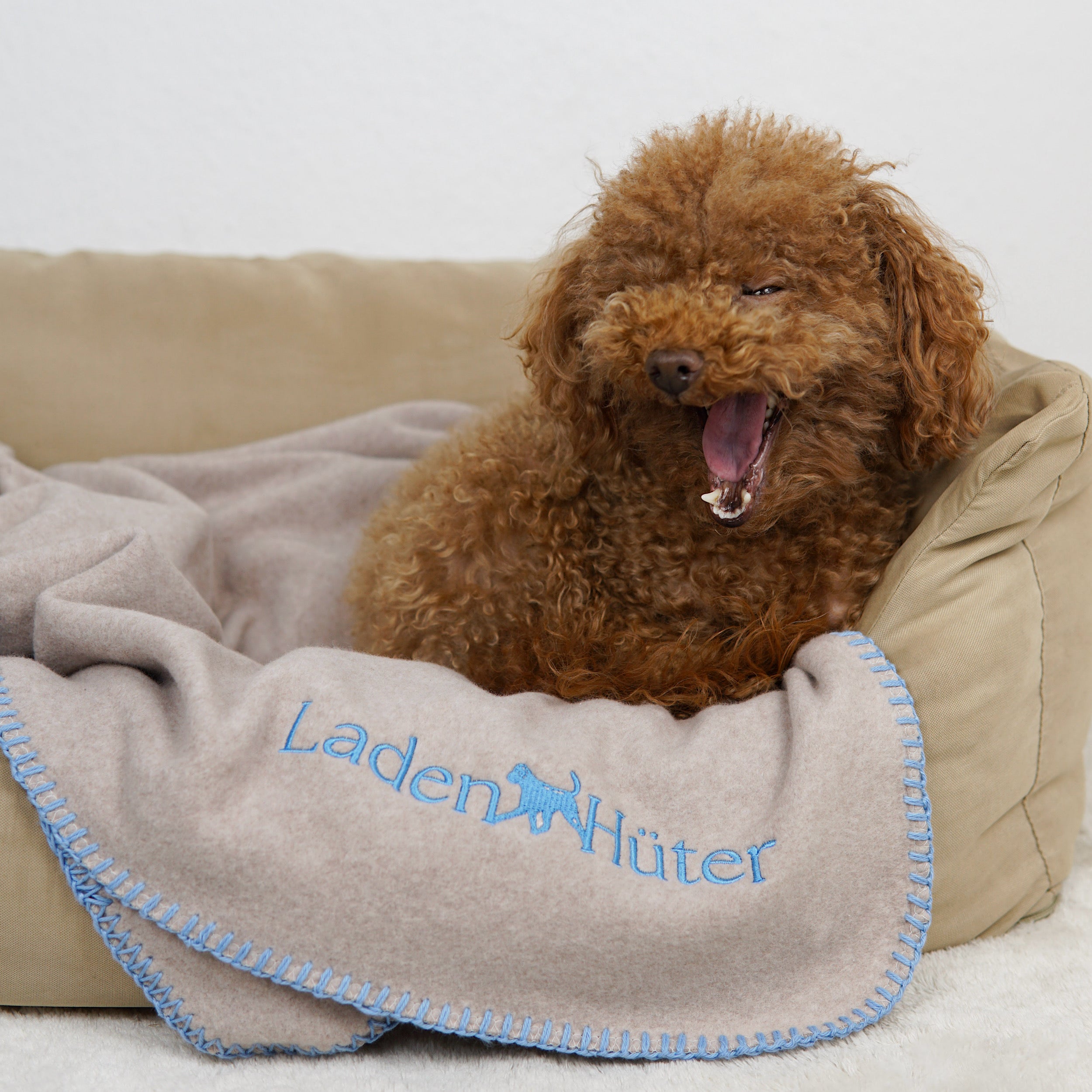 Hundedecke Sandstone Beige - GOTS Bio-Baumwolle