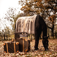 Equestrian Stil
