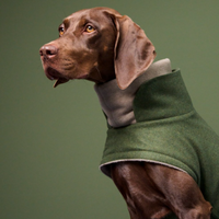 Für den Hund
