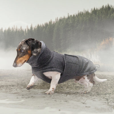 CLOUD7 Hundemantel Brooklyn Flannel Dackel Anthra