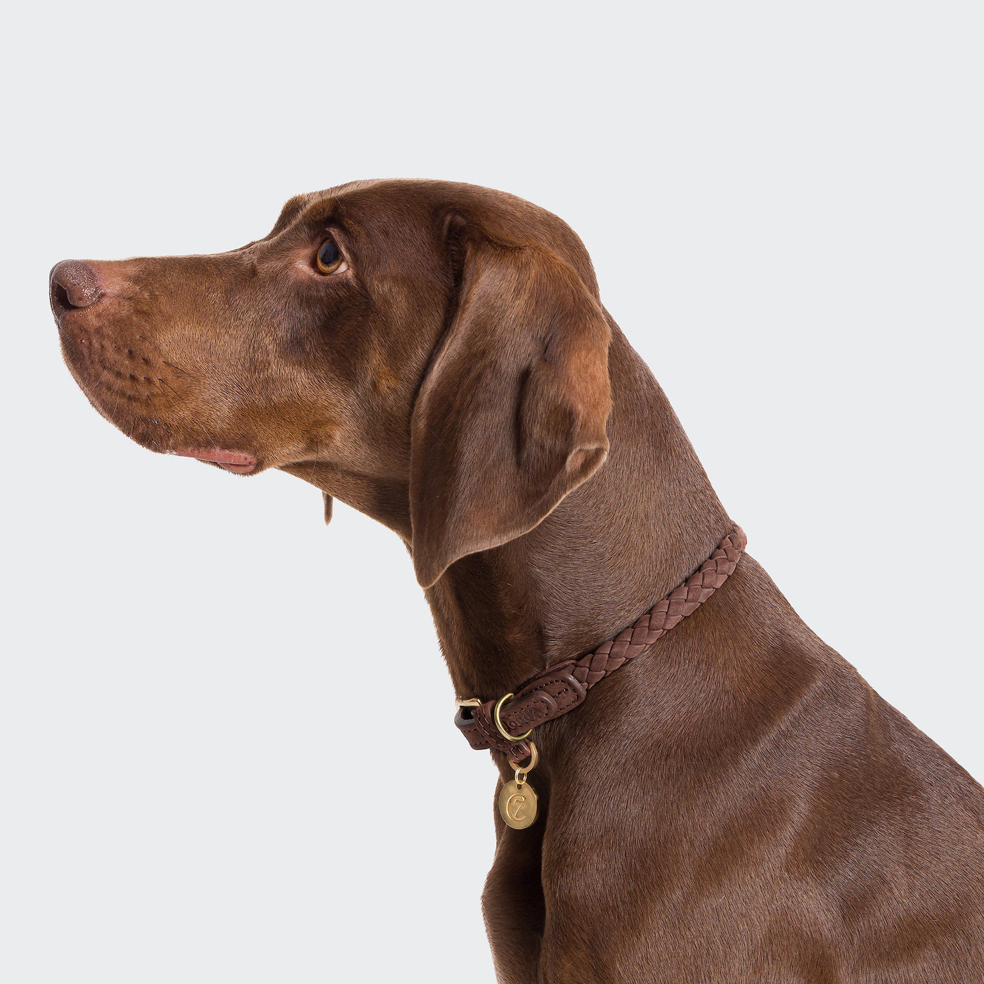 Cloud7 Exklusives Hundehalsband Ravello Hazel – SALE