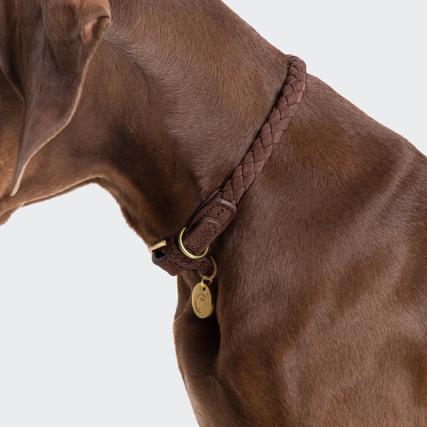 Cloud7 Exklusives Hundehalsband Ravello Hazel – SALE