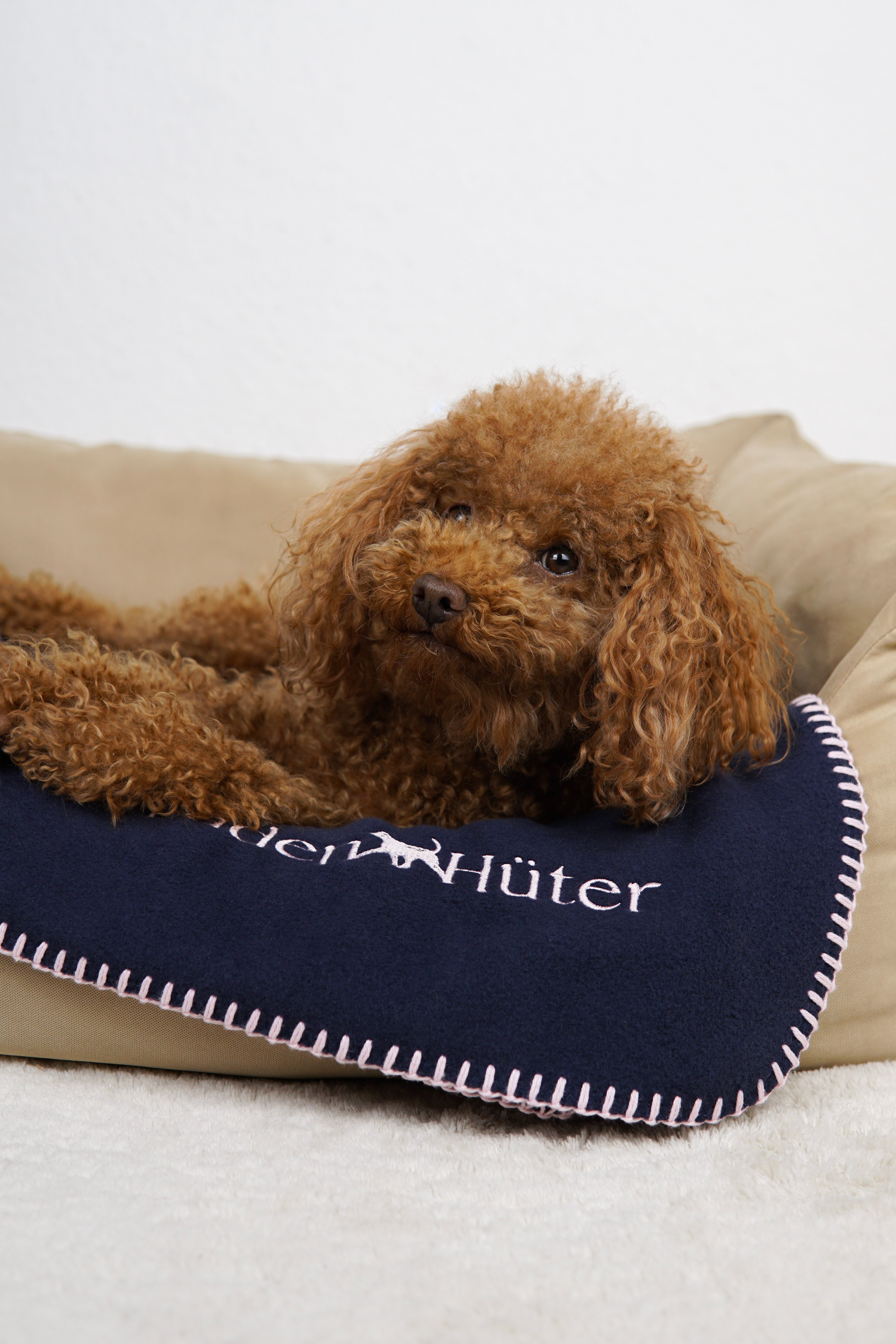 Hundedecke Oxford Blue - GOTS Bio-Baumwolle