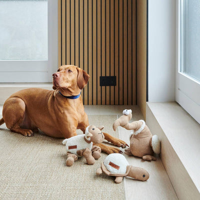 Hundespielzeug - Woolliam das Lamm