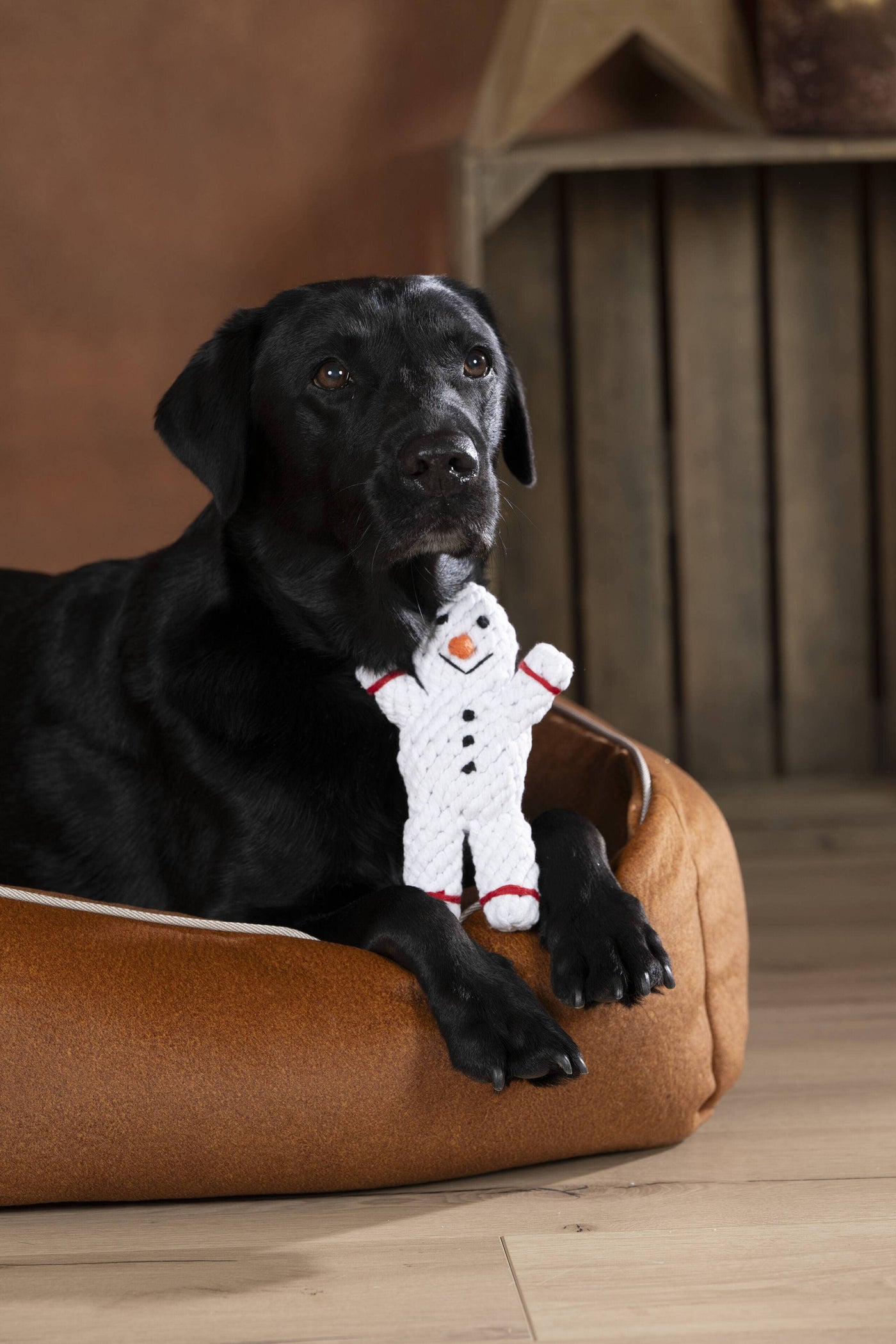 Laboni | Shawn der Schneemann