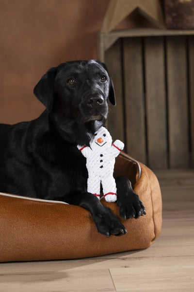 Laboni | Shawn der Schneemann