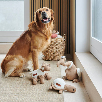 Hundespielzeug - Tarquin der Dodo