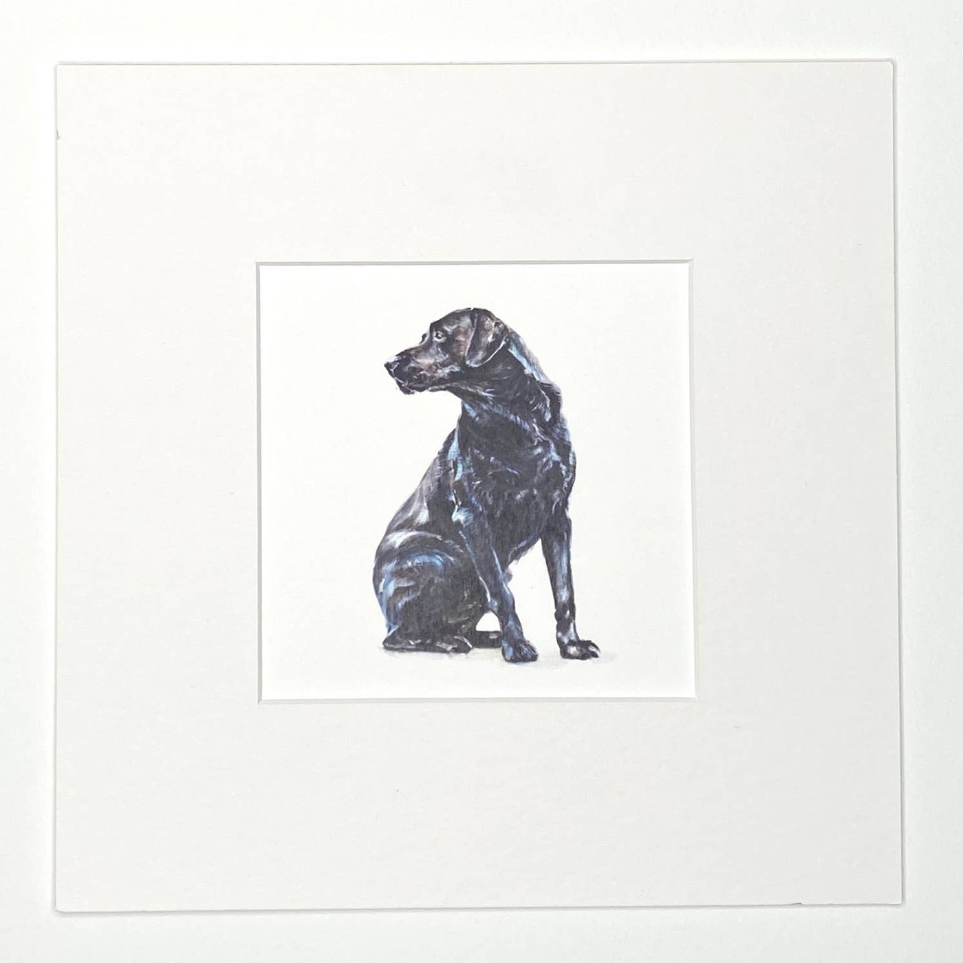Susel & Co Black Lab - Quadratischer Kunstdruck